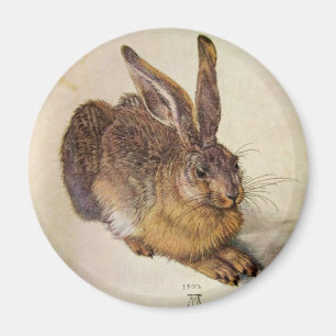 THE RABBIT ( Young Hare ) Magnet