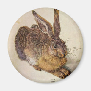 THE RABBIT ( Young Hare ) Magnet