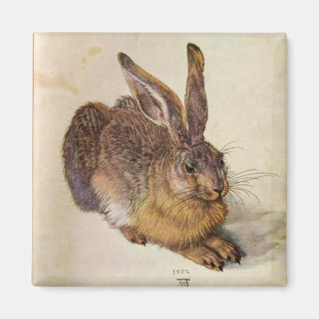 THE RABBIT ( Young Hare ) Magnet (Front)
