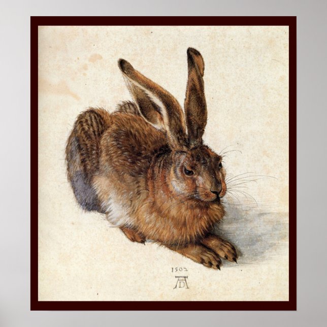 THE RABBIT ( Young Hare ) Poster (Front)