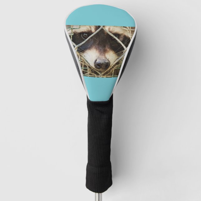 THE  RACCON   ON   DRIVER COVER (Front)