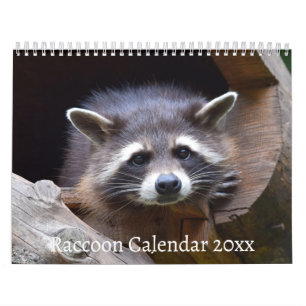 The Raccoon Forest Animal Calendar