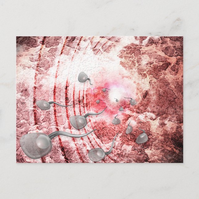 The Race For Life Postcard (Front)