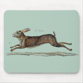 The Racing Hare at Easter Mouse Mat