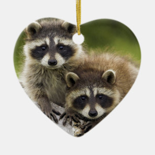 The Racoon Couple Ceramic Tree Decoration