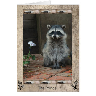 The Racoon Prince