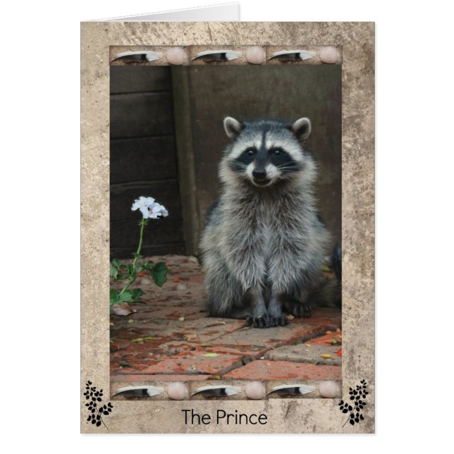 The Racoon Prince (Front)