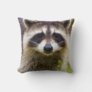 The racoon, Procyon lotor Cushion