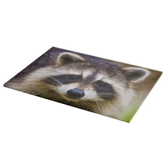 The racoon, Procyon lotor Cutting Board (Corner)