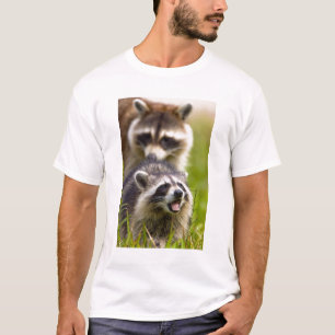 The racoon, Procyon lotor, is a widespread, T-Shirt