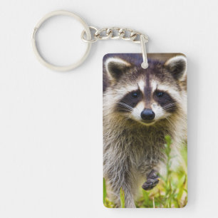 The racoon, Procyon lotor Key Ring