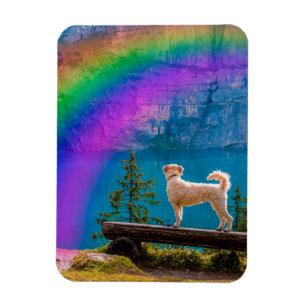 The Rainbow Bridge Poem, In Memory of a Pet... Magnet