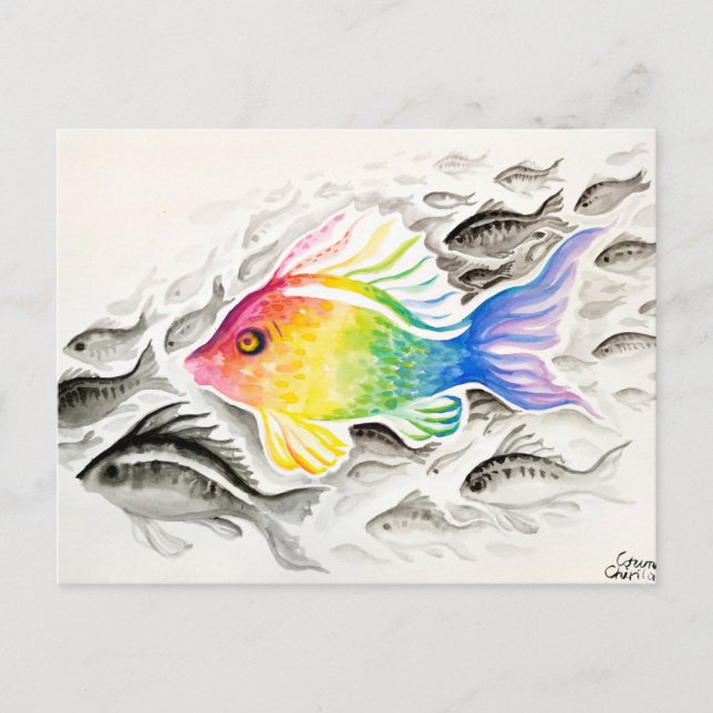 The rainbow fish  postcard (Front)