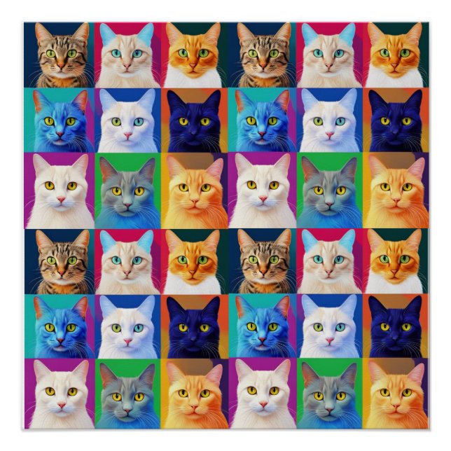 the rainbow of cats poster (Front)
