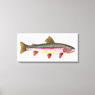 The Rainbow Trout Canvas Print