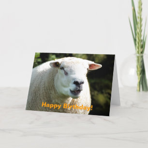 THE RAM CARD