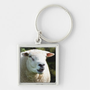 THE RAM KEY RING