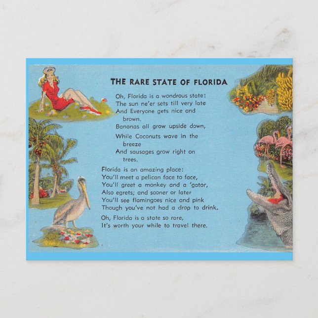 The Rare State of Florida Postcard (Front)