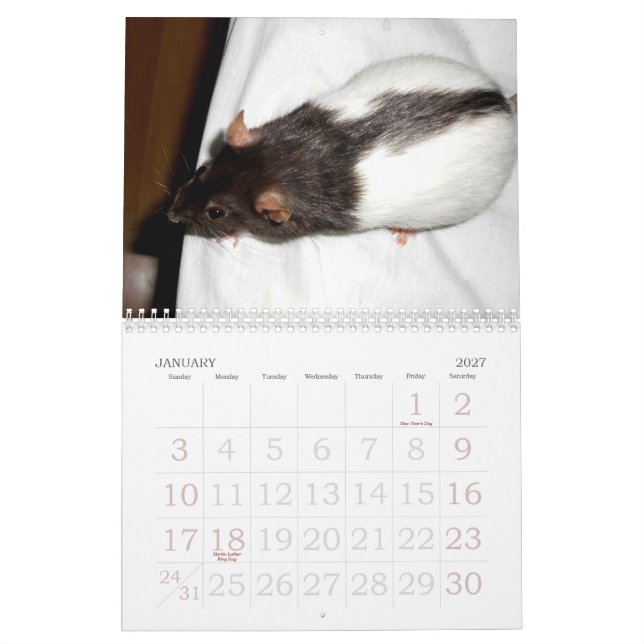 The Rat Lover's 2015 Calendar (Jan 2027)