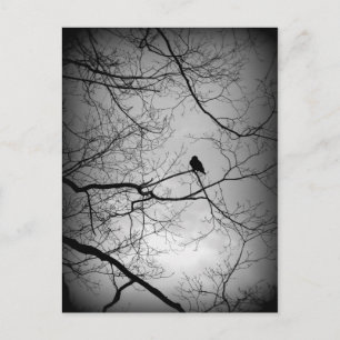 The Raven Postcard