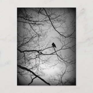 The Raven Postcard