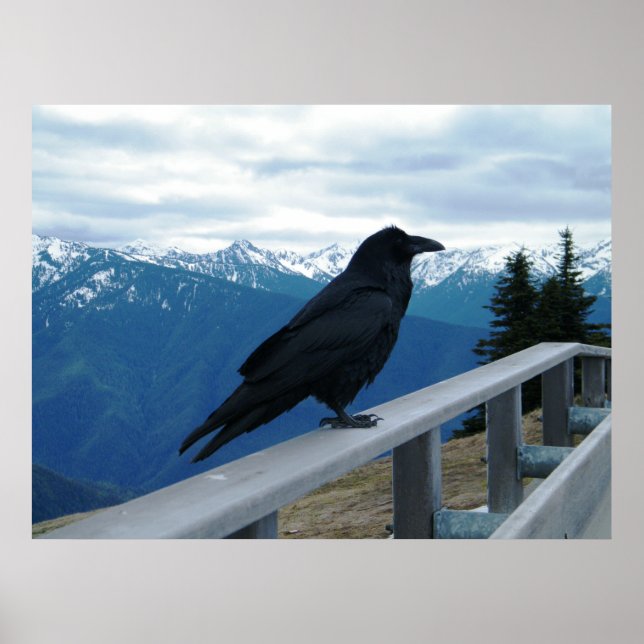 The Raven Poster (Front)