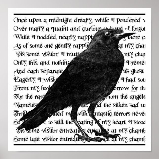 The Raven Poster (Front)