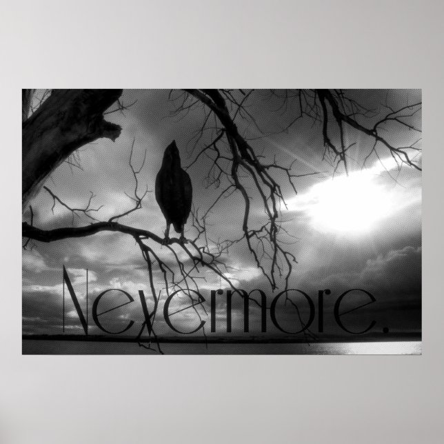 The Raven Poster - Nevermore Sunbeams Tree B&W (Front)