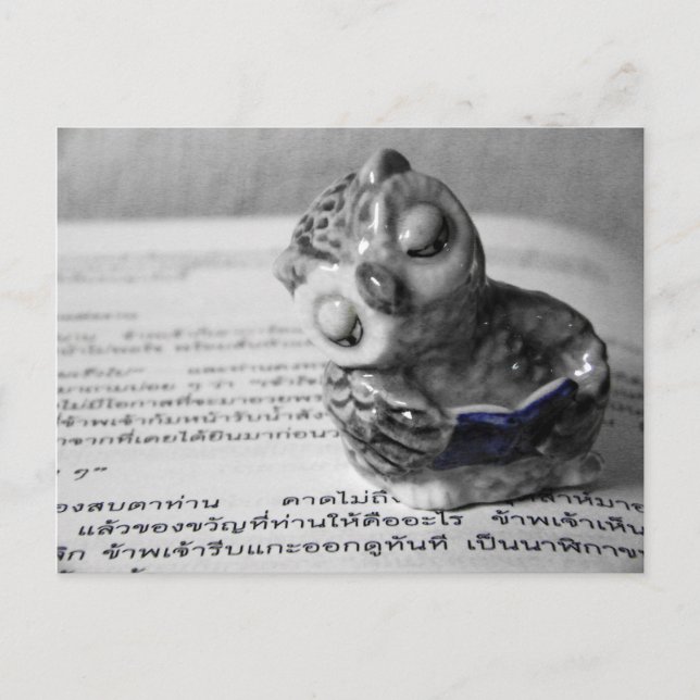 The Reader Postcard (Front)