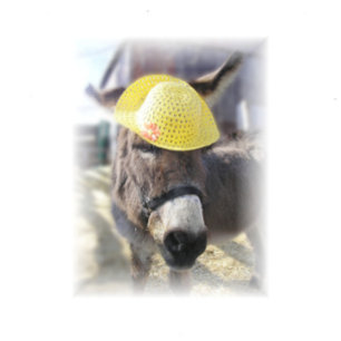 "The Real Easter Bunny" Holiday Card