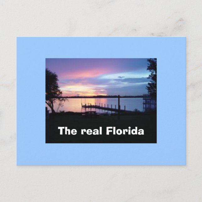 The real Florida postcard (Front)