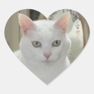 The Real Pretty Cat Princess Heart Sticker