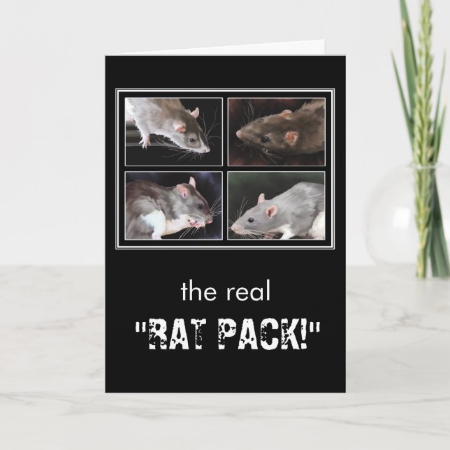 The real "RAT PACK!" - rat greeting card (Front)