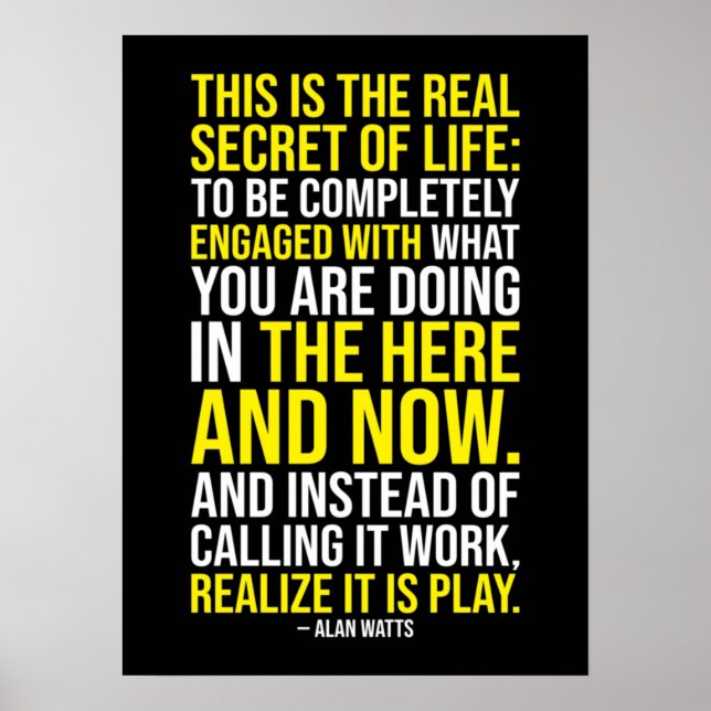 The Real Secret Of Life - Work vs Play Poster (Front)