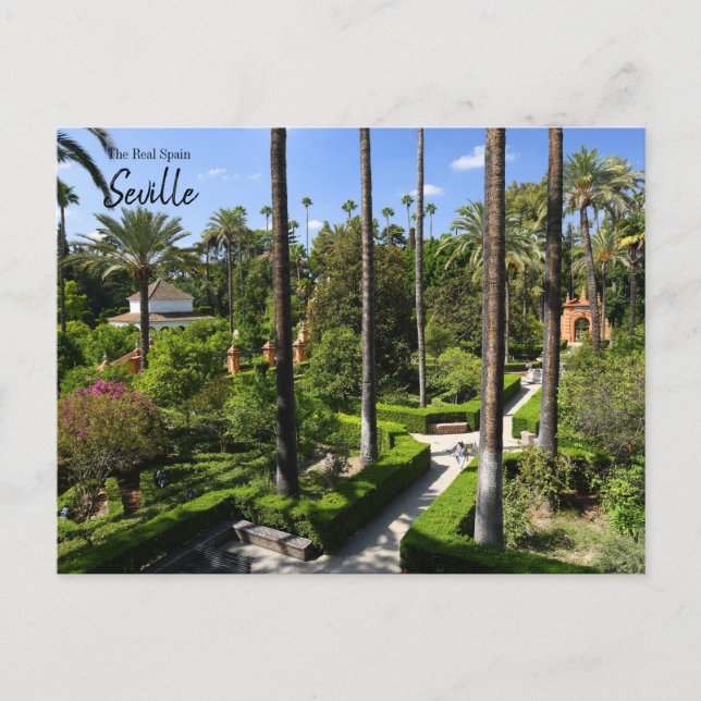 The Real Spain- Seville Postcard (Front)