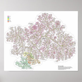 The Real Tree Of Life Poster