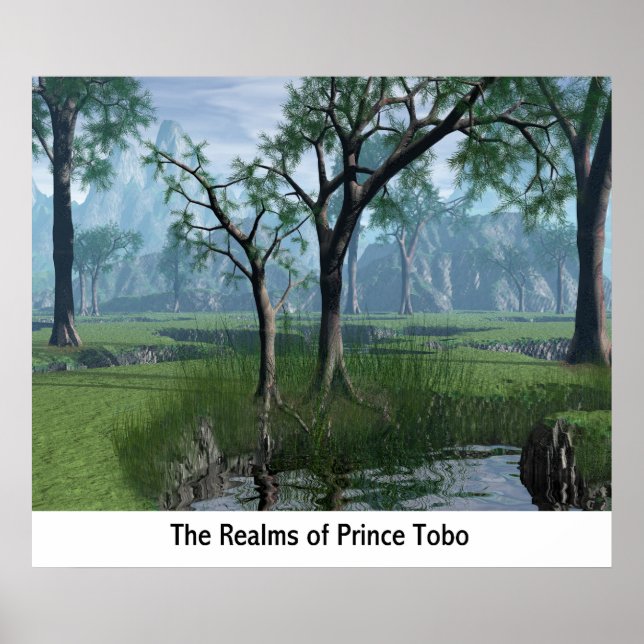 The Realms Of Prince Tobo Poster (Front)