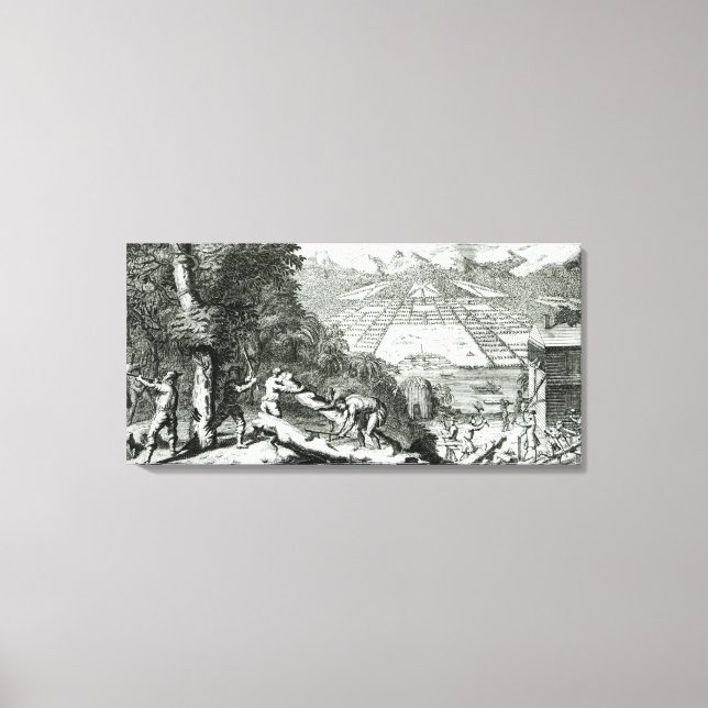 The Reasons for establishing the Colony of Canvas Print (Front)