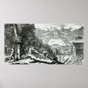 The Reasons for establishing the Colony of Poster