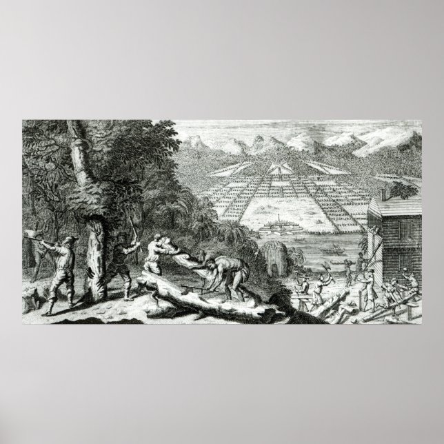 The Reasons for establishing the Colony of Poster (Front)