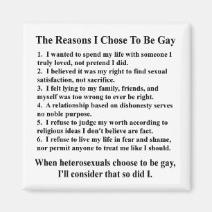 The Reasons I'm Gay Magnet