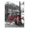 The Red Bike 1