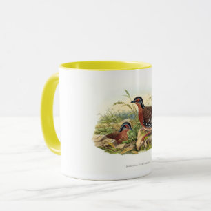 The red-breasted partridge(Bambusicola hyperythra) Mug