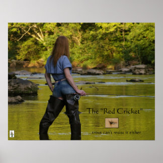 The Red Cricket-trout cant resist Poster