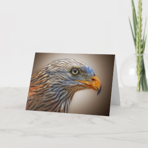 The Red Kite Bird Card