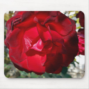 The red of autumn mouse mat