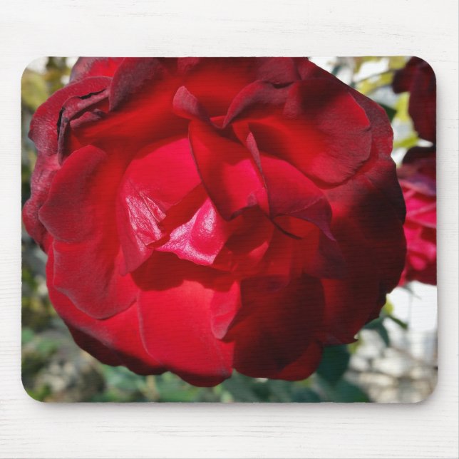 The red of autumn mouse mat (Front)