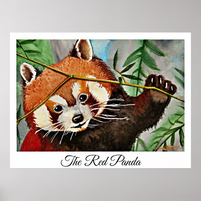 The Red Panda Poster (Front)