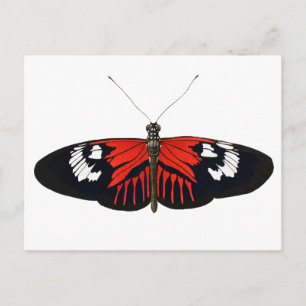 The Red Postman Butterfly Postcard
