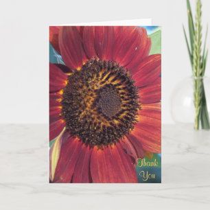 The Red Sunflower Thank You Card
